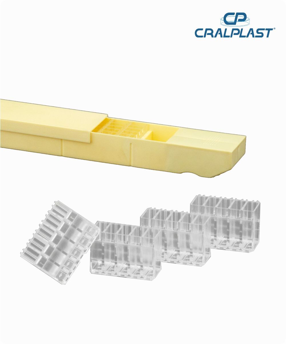 Multicubeta para express 550/express plus